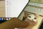Popcat.click le mème populaire d'un chat