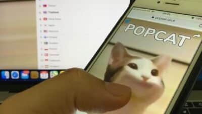 Popcat.click le mème populaire d'un chat