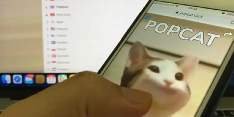 Popcat.click le mème populaire d'un chat