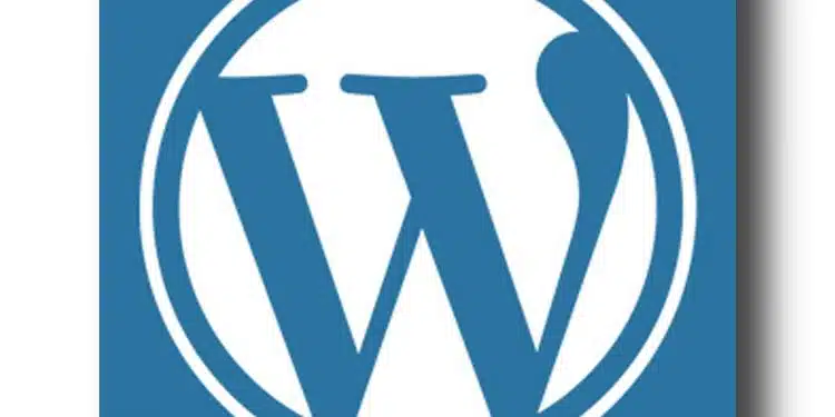 Retrouvez le sourire en faisant appel à un expert de la maintenance WordPress